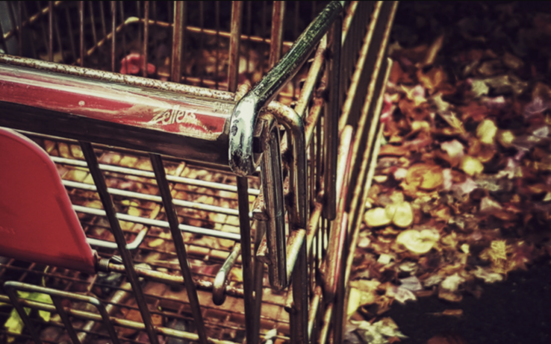 Tracking and Converting Abandoned Shopping Carts